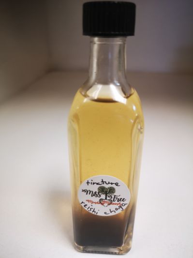 Reishi Chaga Tincture